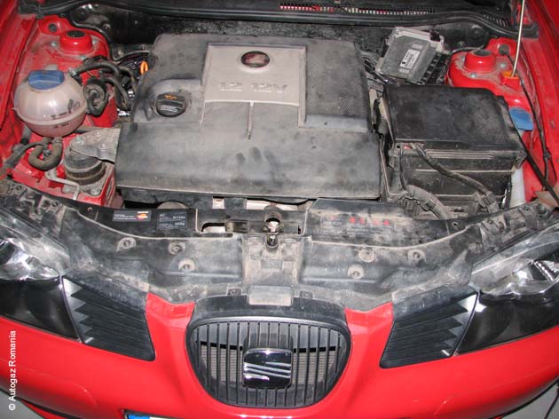 seat-ibiza-1