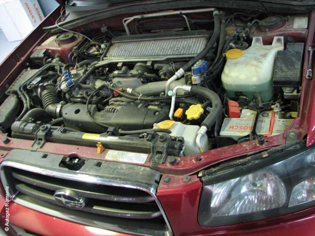 subaru-forester-gpl-2