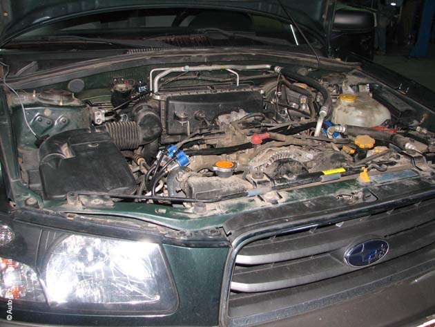 Subaru_Forester_2